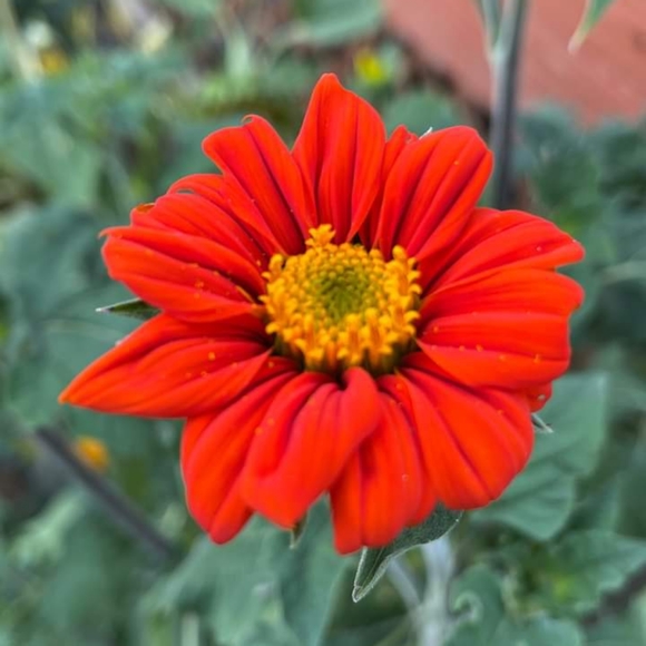 Meet your Posher, Tina - Picture 3 of 5